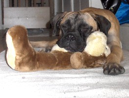 Nita 8 months
